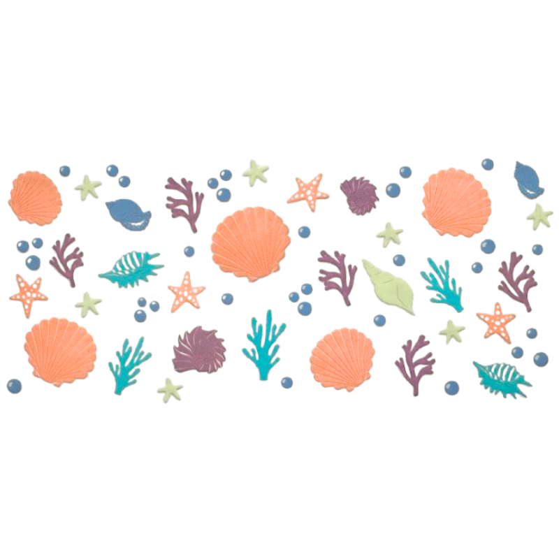 Sea Shells