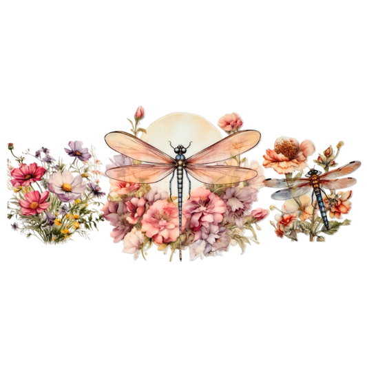Dragonflies 1