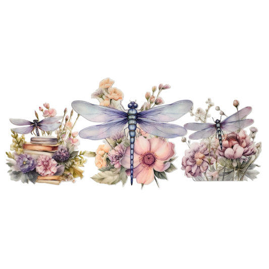 Dragonflies 2