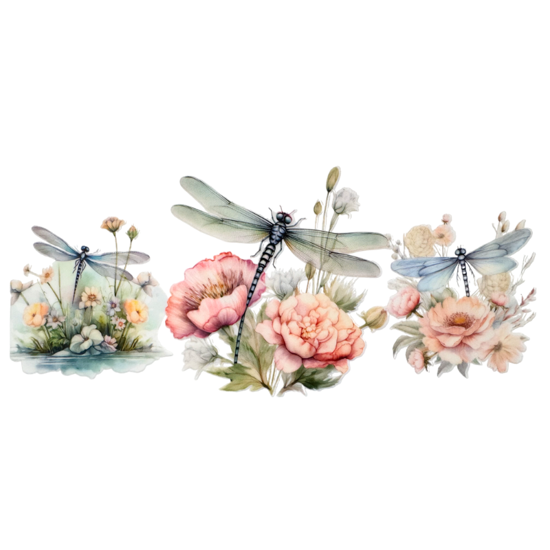 Dragonflies 4