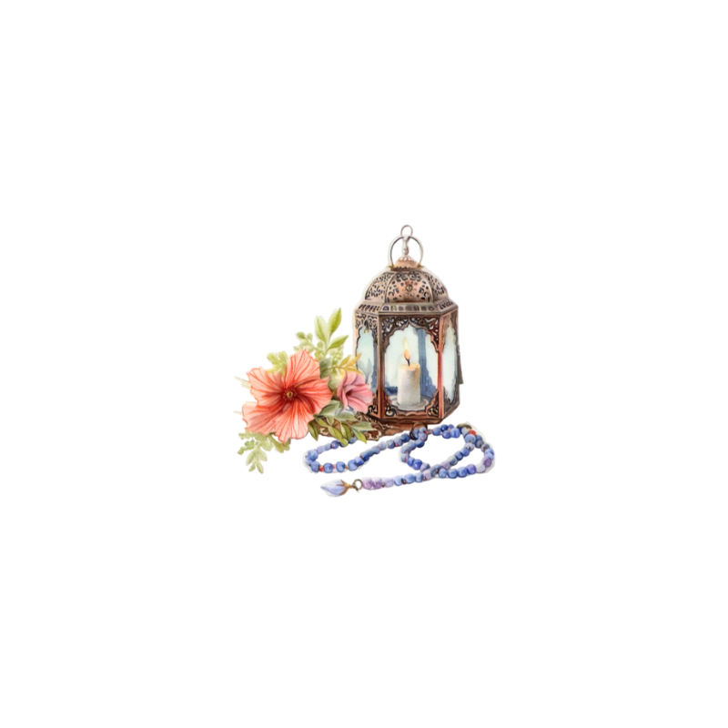 Lantern 9