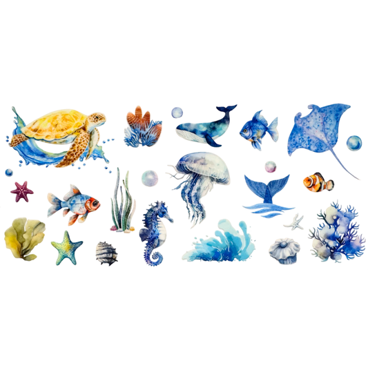 Ocean Creatures 1