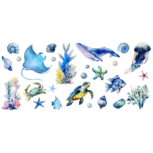 Ocean Creatures 4