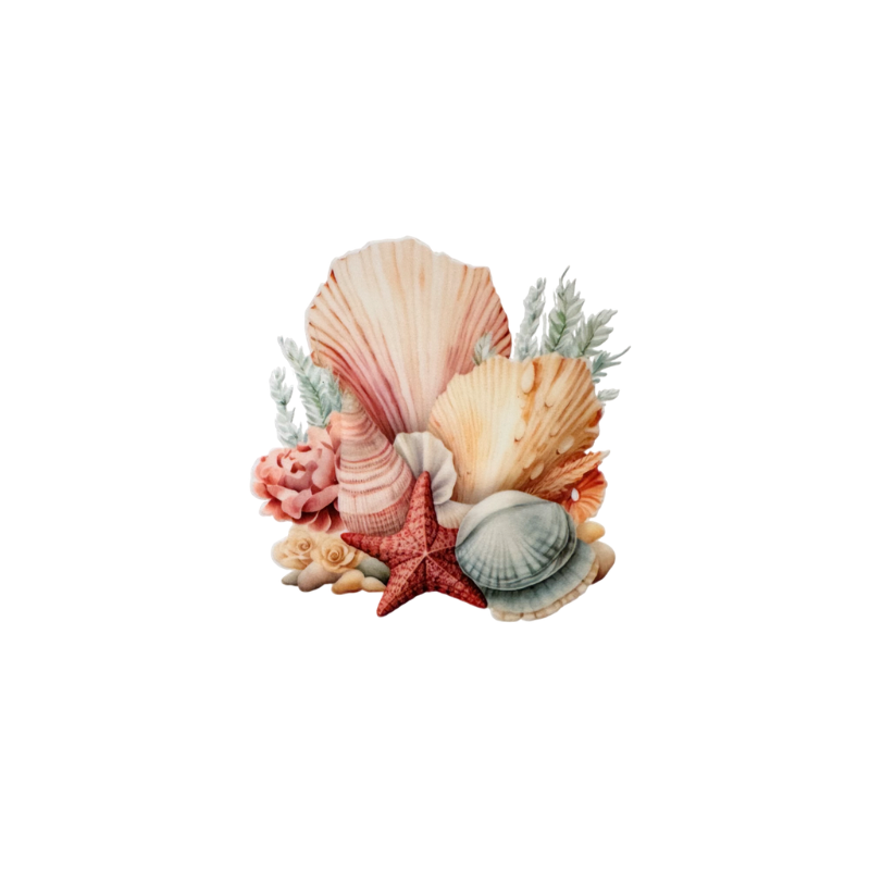Shells 10
