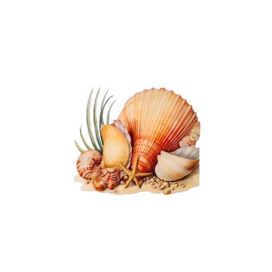 Shells 2