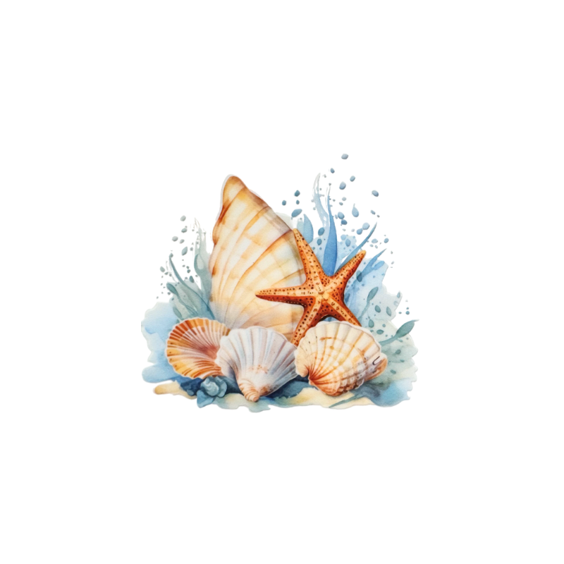Shells 5