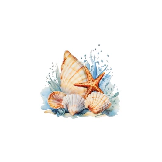 Shells 5