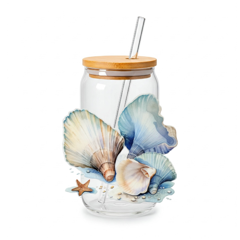 Shells 6