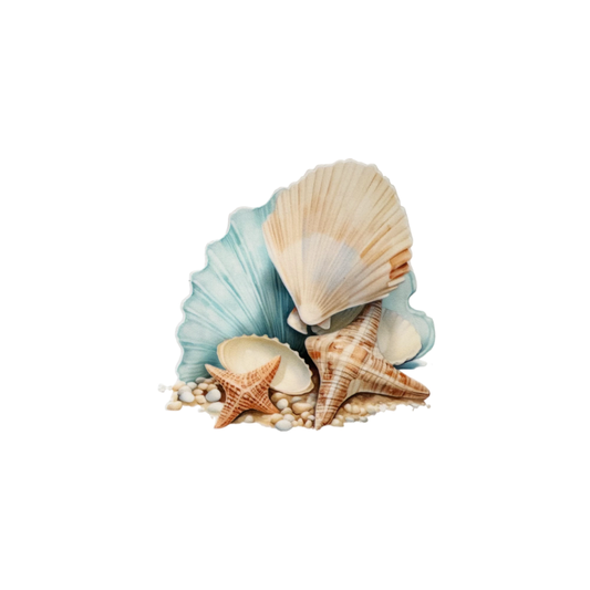 Shells 8