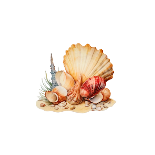 Shells 9